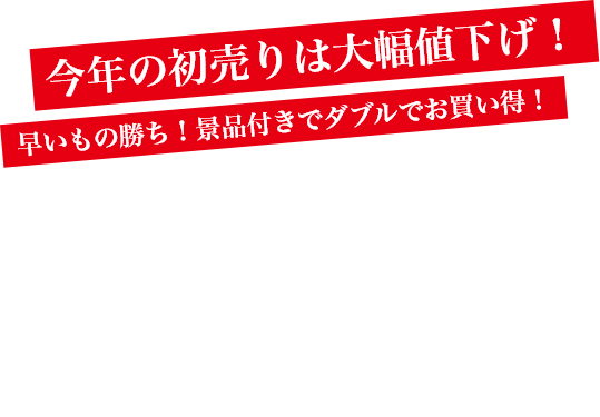 今年の初売りは大幅値下げ！早いもの勝ち！景品付きでダブルでお買い得！欅産業の仙台箪笥初売り福箪笥